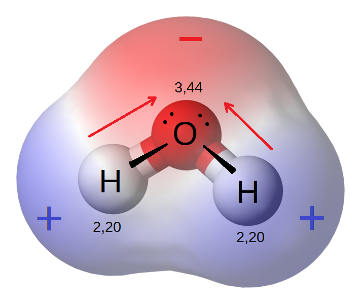 Polar water molecule